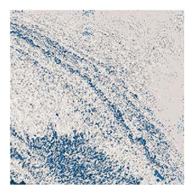 Chinese Style Nylon Printed Square Residential Carpet Tiles With Soft PU Backing